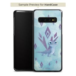 Hard Case black