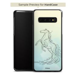 Hard Case black