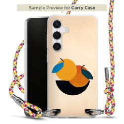 Carry Case Transparent Fabric colourful