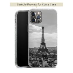 Carry Case Single Transparent/glitter