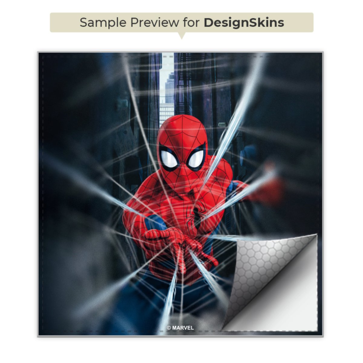 Toile Spider-Man