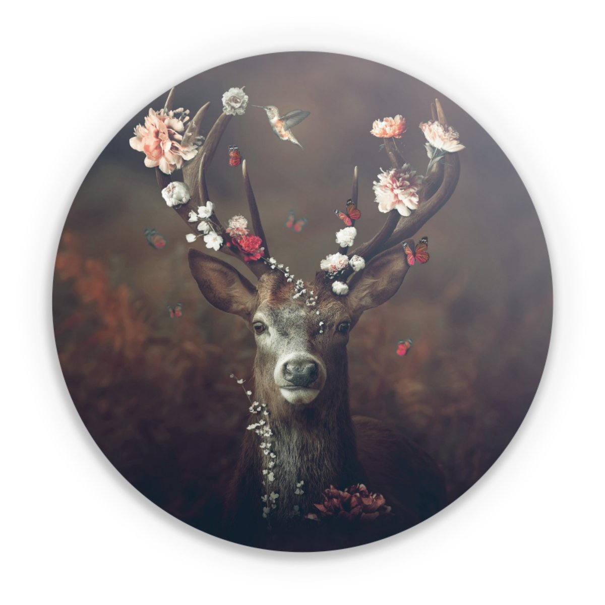 Fauna Flora Hirsch