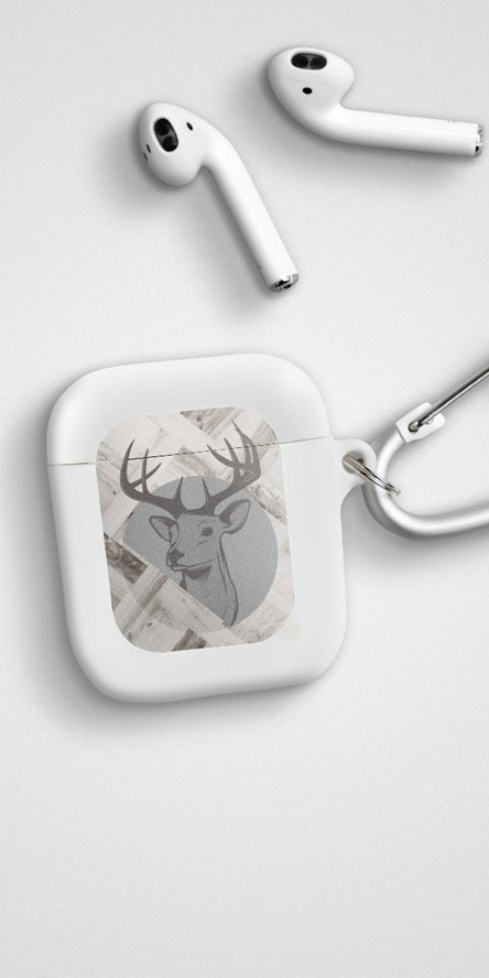 AirPods Cases