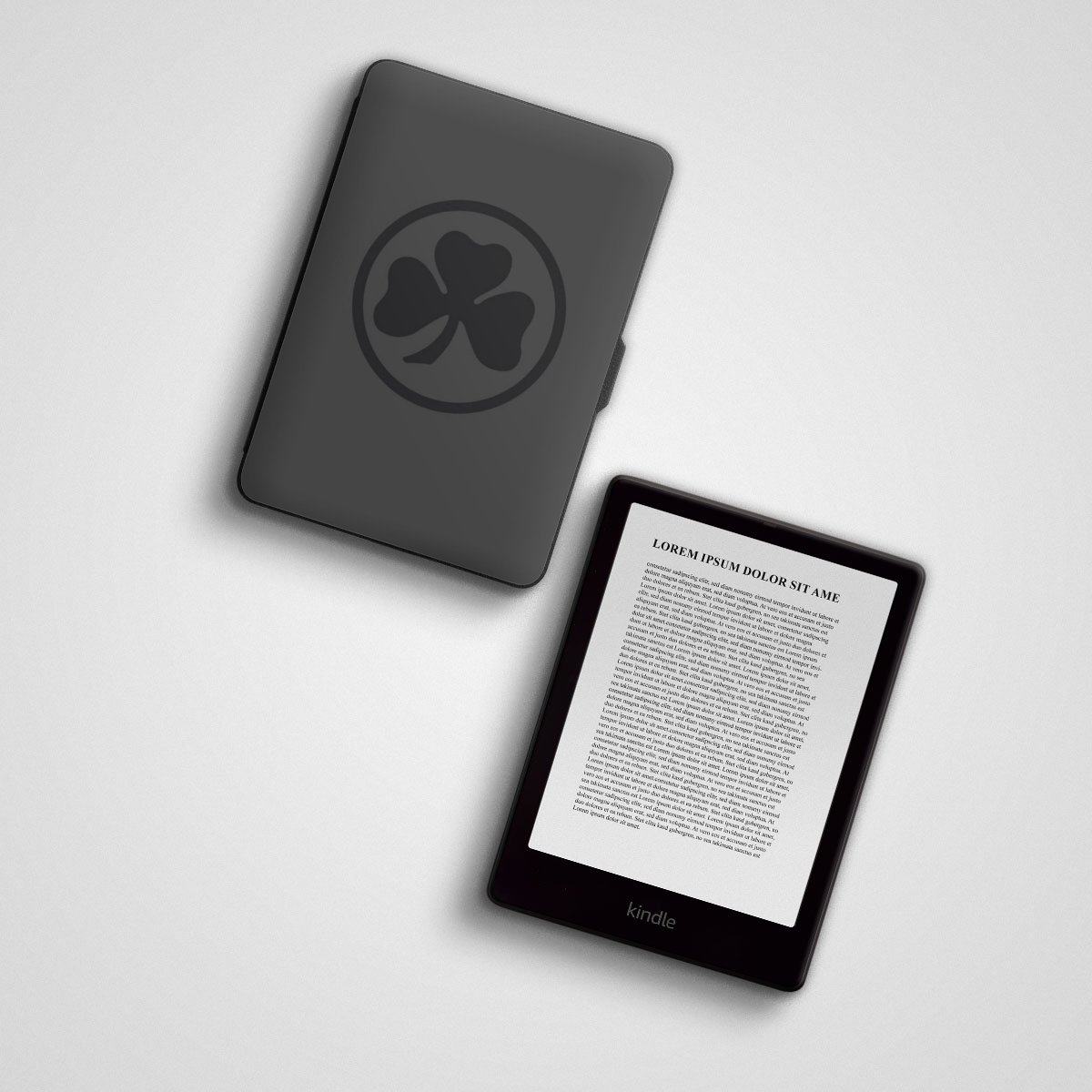 E-Reader-Hüllen