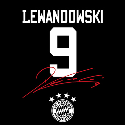 Holz Hard Case Walnuss