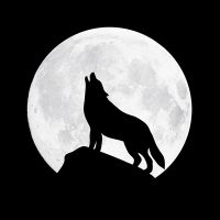 Wolf Moon - Badbugs Art