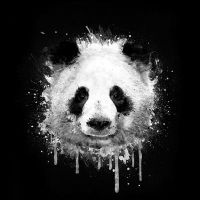 Badbugs Panda - Badbugs Art