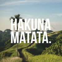 Hakuna Matata VS - VISUAL STATEMENTS
