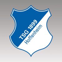 TSG 1899 Hoffenheim Logo Grau - TSG Hoffenheim
