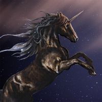 Dark-Blue Unicorn - DeinDesign