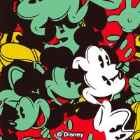 Micky Muse - Disney Mickey Mouse