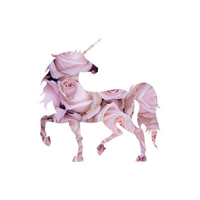 Unicorn Roses transparent - DeinDesign