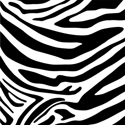 Zebra transparent - DeinDesign