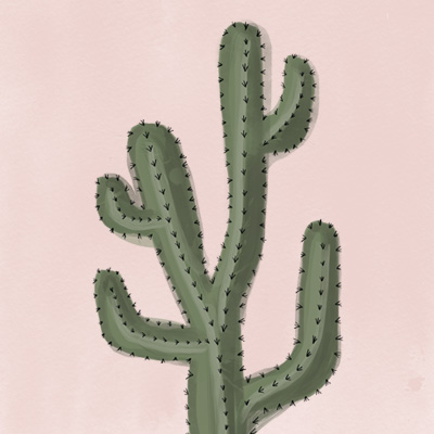 Kaktus - Kruth Design