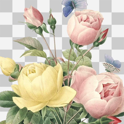 Pastell Rosen ohne Hintergrund - DeinDesign