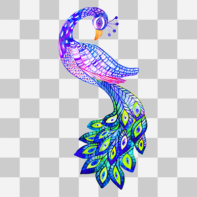 Colorful Peacock ohne Hintergrund - DeinDesign