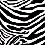 Zebra - DeinDesign