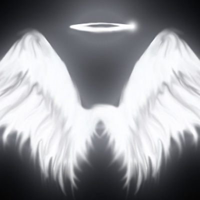 Shiny Wings - DeinDesign