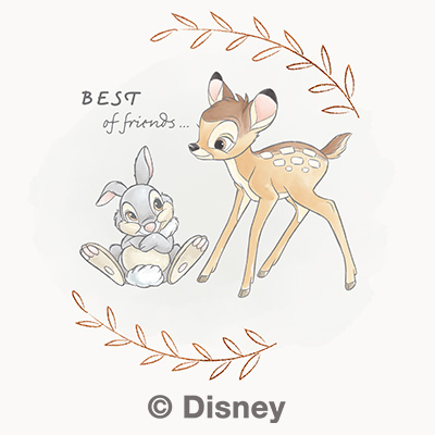 Bambi and Friends - Disney 
