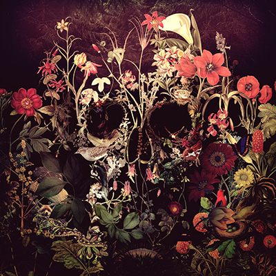 Flower Death - Ali Gulec