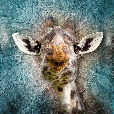 Giraffe Greenfeed - Greenfeed