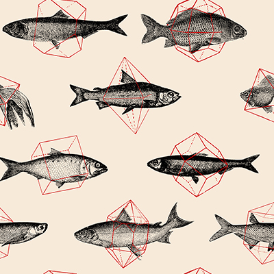 Fishes in Geometrics - Florent Bodart