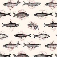 Fische in Geometrie - Florent Bodart