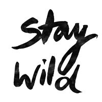Stay wild - Mareike Böhmer