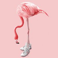 Sneaker Flamingo - Jonas Loose Art