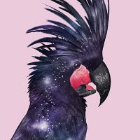 Galaxie Vogel - Jonas Loose Art