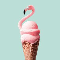 Flamingo ice cream - Jonas Loose Art