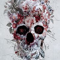 Floral Rose Skull - Riza Peker