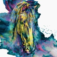 Horse watercolour - Riza Peker