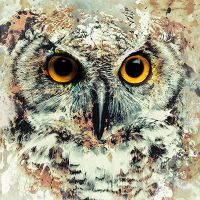 Watercolor Owl - Riza Peker