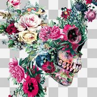 Flower Skull ohne Hintergrund - Riza Peker