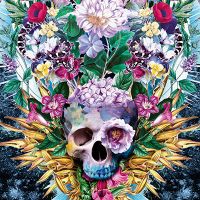 Vivid Flower Skull - Riza Peker
