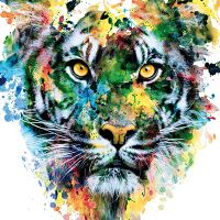Tiger Watercolor - Riza Peker