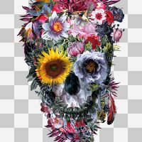 Voodoo Skull transparent - Riza Peker