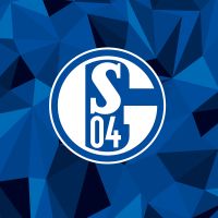 Schalke 04 Camo - Schalke 04