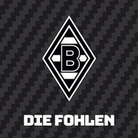 Die Fohlen Carbon - Borussia Mönchengladbach