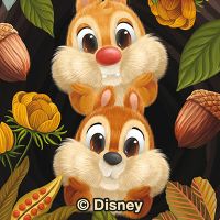 Chip and Chap - Disney 