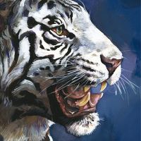 White Tiger 1 - Timo Wuerz