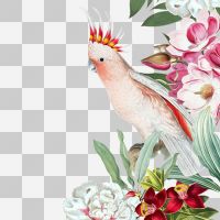 Parrot Flowers - UtART