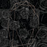 Black Roses - Andrea Haase