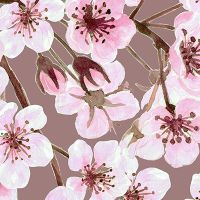 Kirschblüten Muster Braun - Katerina Kirilova