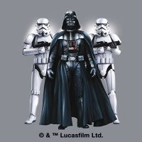 Vader and Troopers - STAR WARS