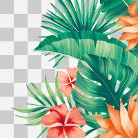 Tropische Blumen ohne Hintergrund - DeinDesign