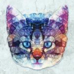 Rainbow Cat - Ancello