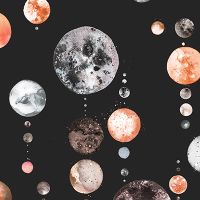 Astronomy Space Moons - Ninola Design