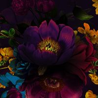 Dark Elegant Flowers - UtART